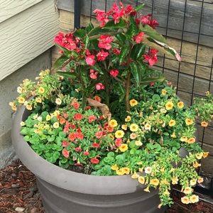 Meet your Posher, Penni